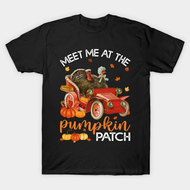 Meet Me At The Pumpkin Patch Vintage Turkeys Riding in a Car T-Shirt by Estrytee